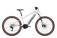 Torrent INT e70-29 B