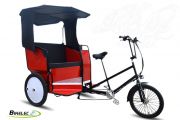 Tricycle de charge