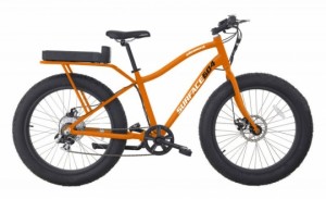 Vélos Fat Bikes - Surface-604-Element